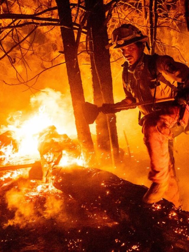 fire-fighter in California forest